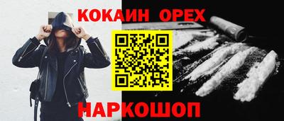 шишки Новодвинск