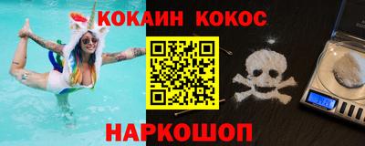 шишки Новодвинск