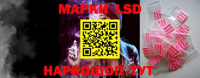 шишки Новодвинск