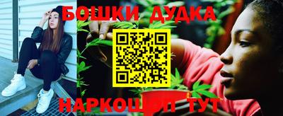 шишки Новодвинск