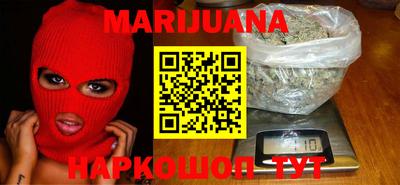 шишки Новодвинск