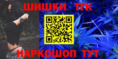 шишки Новодвинск