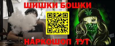 шишки Новодвинск