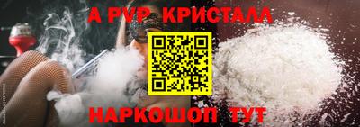 шишки Новодвинск