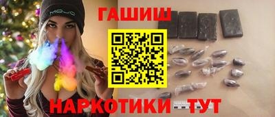 шишки Новодвинск