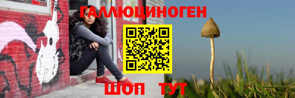 купить наркоту  Галлюциногенные грибы Psilocybe  Вход с VPN  Тихвин 
